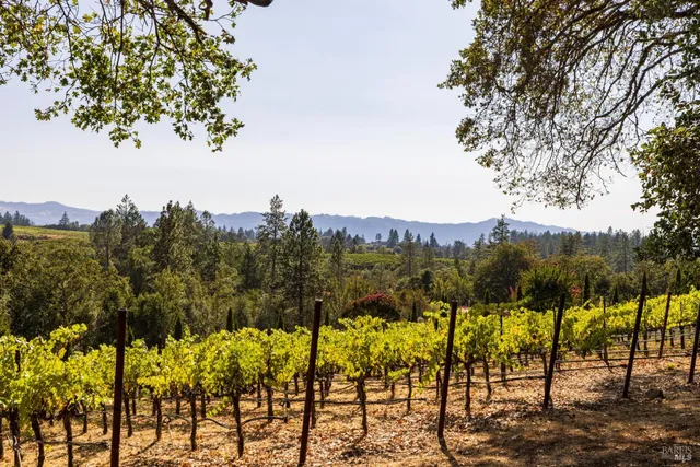 $6,250,000 | 330 Brookside Drive, Angwin, CA 94508