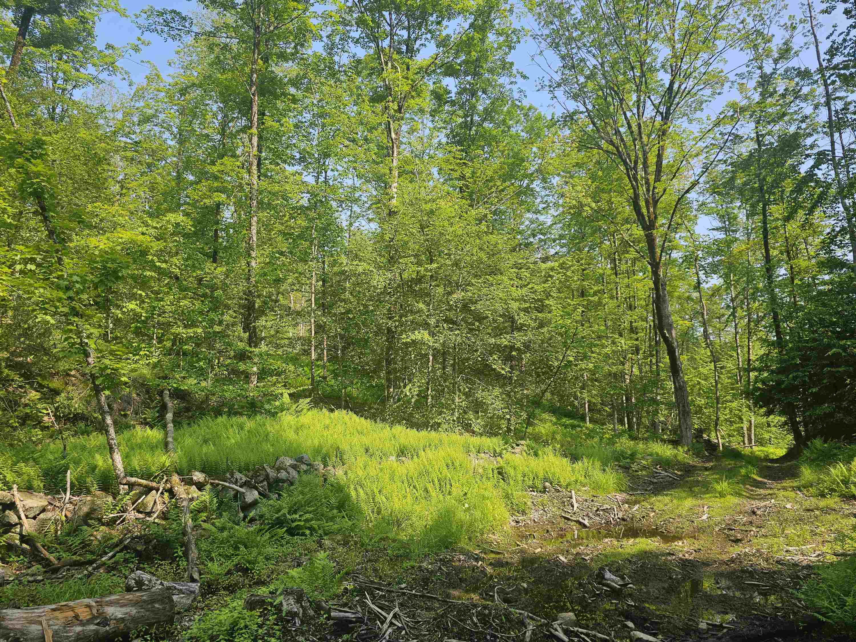 0 Stones Mill Road Spofford, NH 03462 - Photo 1 of 4