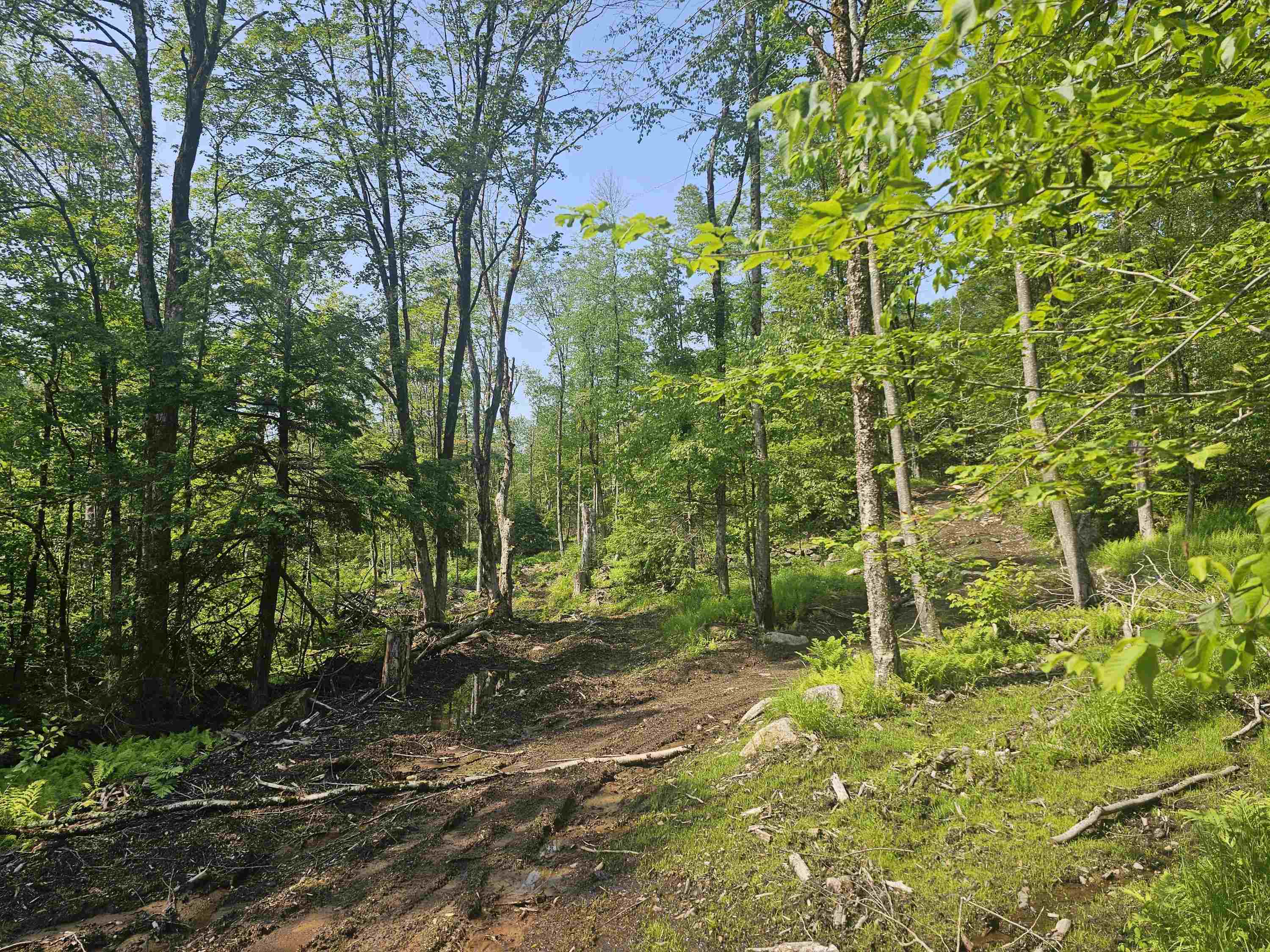 0 Stones Mill Road Spofford, NH 03462 - Photo 2 of 4