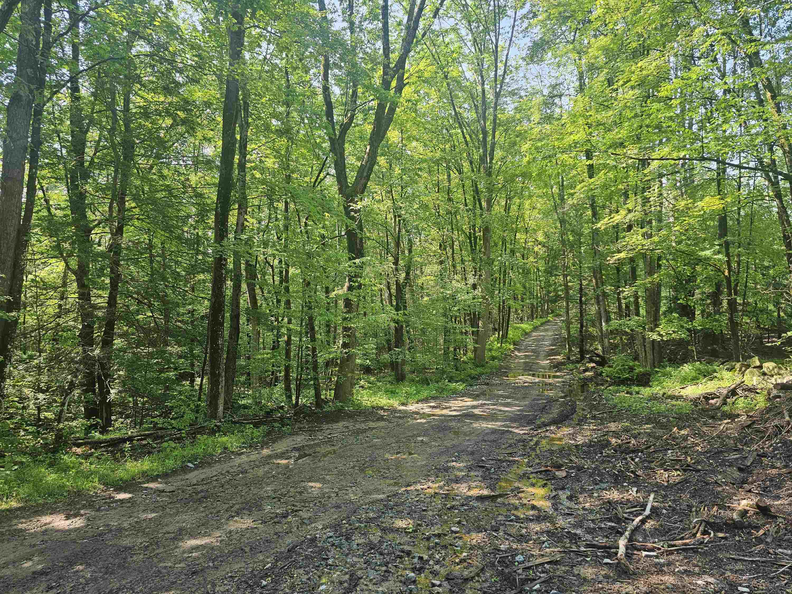 0 Stones Mill Road Spofford, NH 03462 - Photo 3 of 4