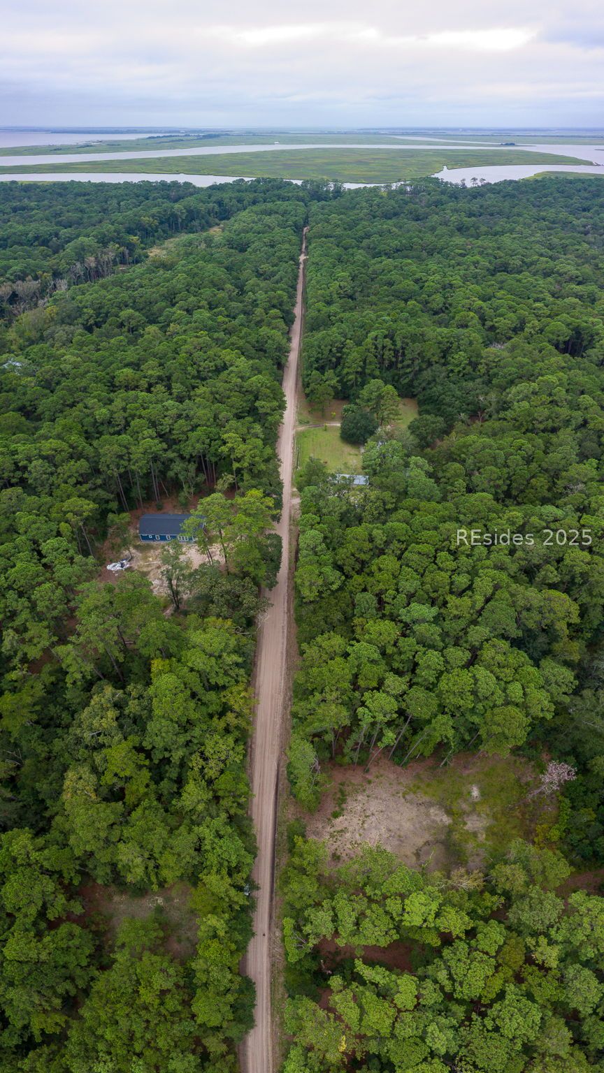 132 Benjies Point Road Daufuskie Island, SC 29915 - Photo 13 of 13