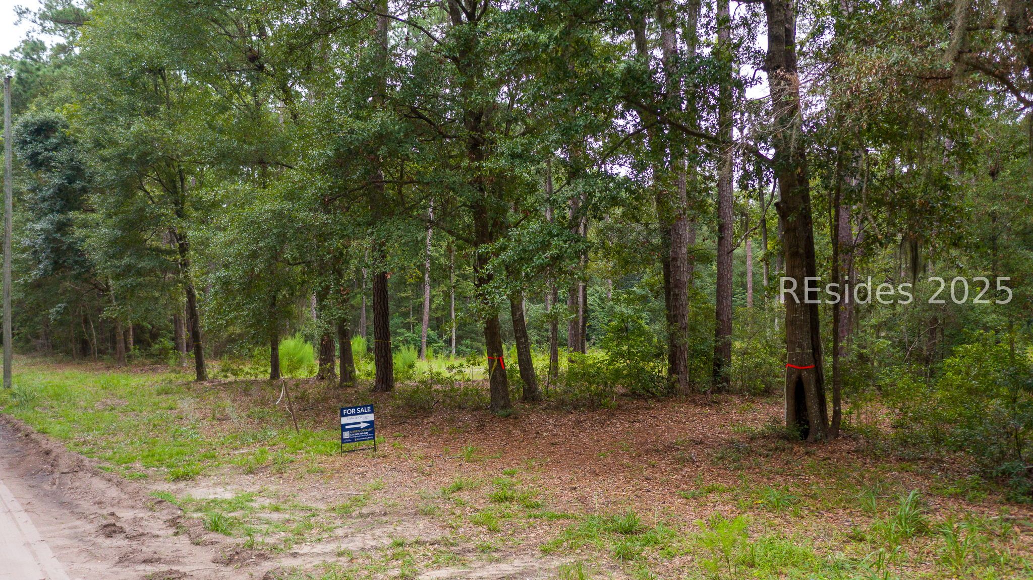 132 Benjies Point Road Daufuskie Island, SC 29915 - Photo 4 of 13