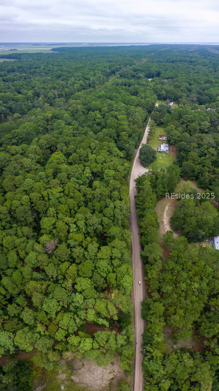 132 Benjies Point Road Daufuskie Island, SC 29915 - Photo 6 of 13