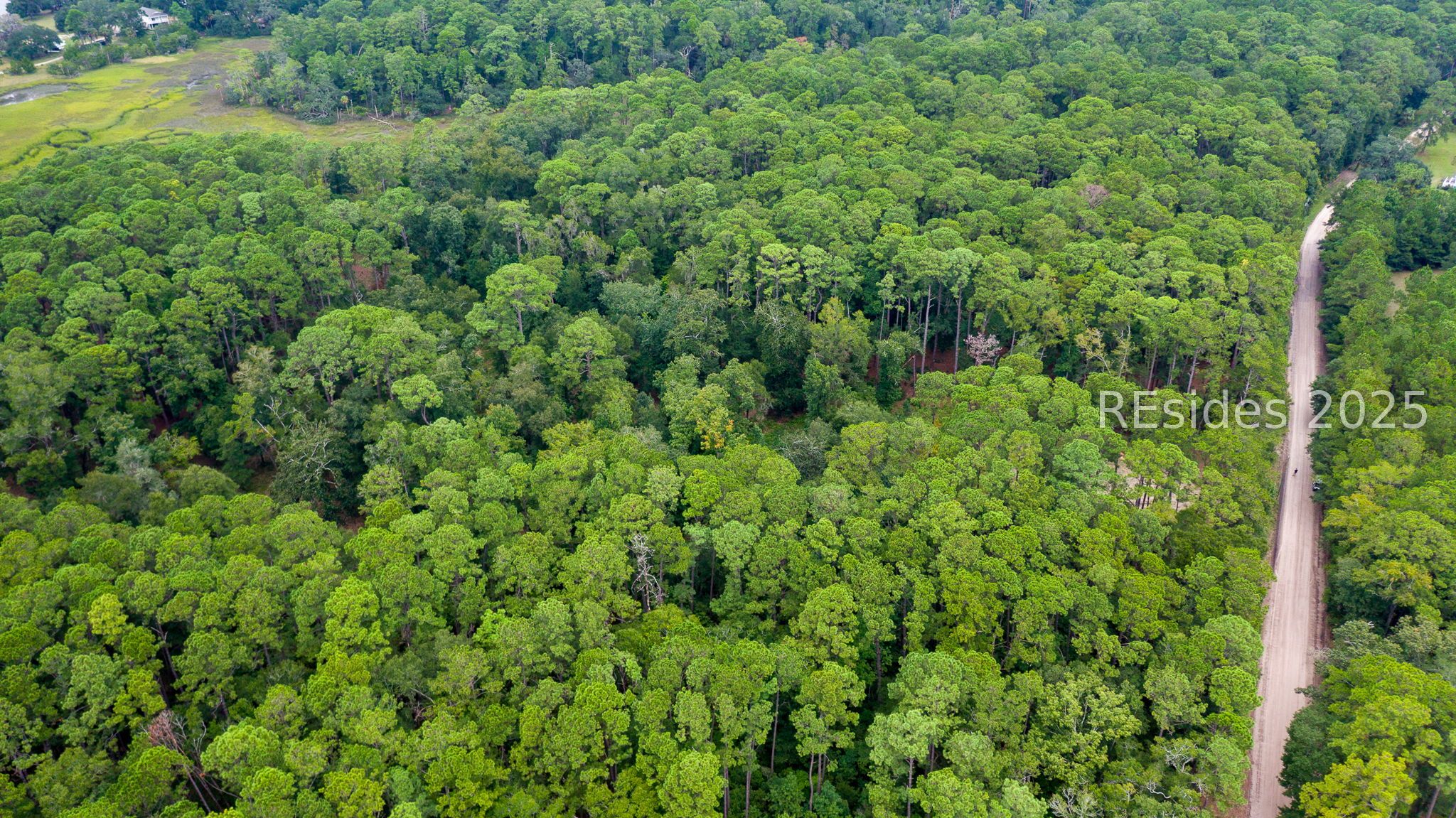 132 Benjies Point Road Daufuskie Island, SC 29915 - Photo 7 of 13
