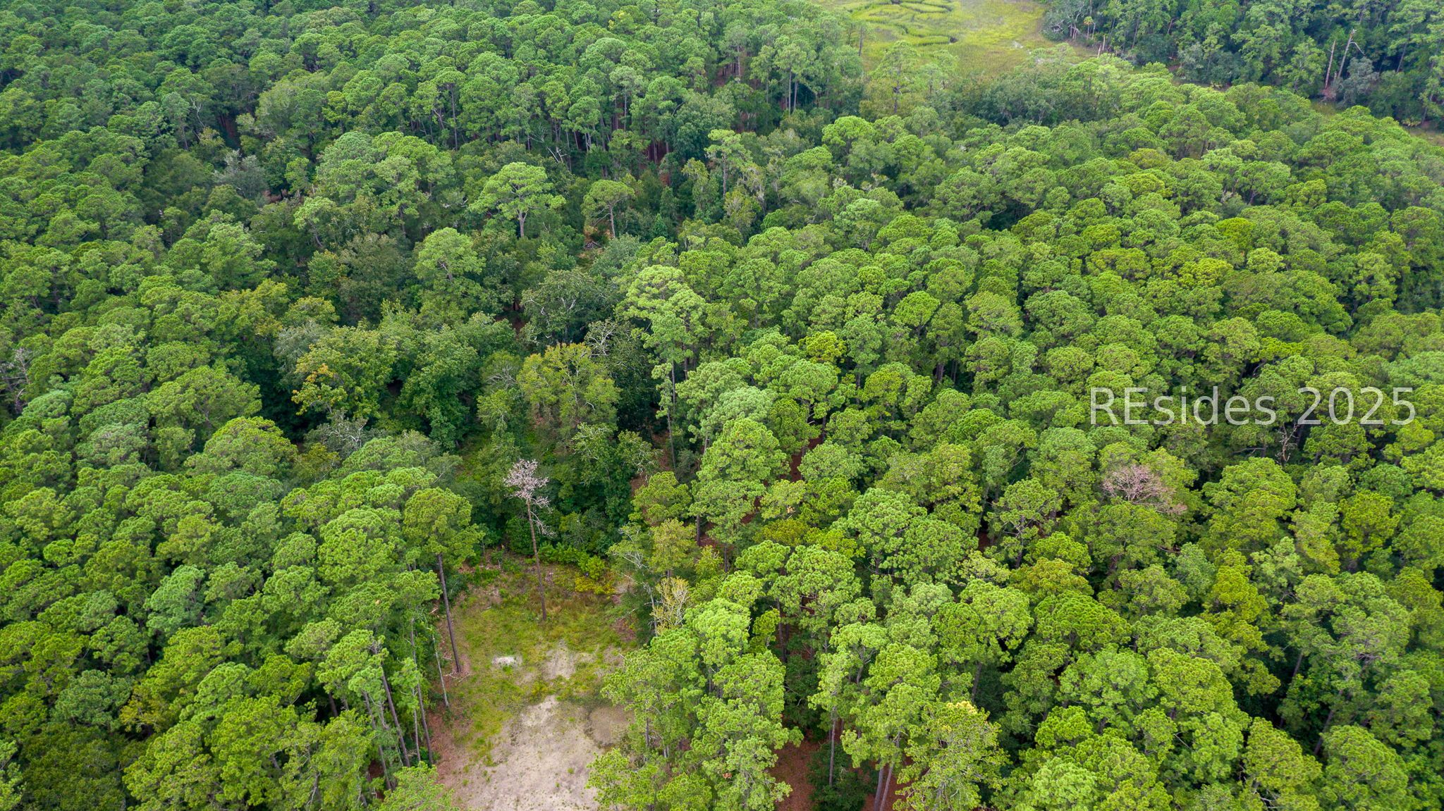 132 Benjies Point Road Daufuskie Island, SC 29915 - Photo 10 of 13
