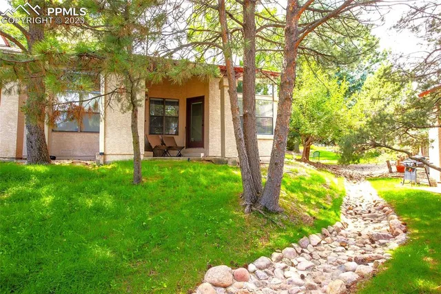 a view of a garden with a tree
