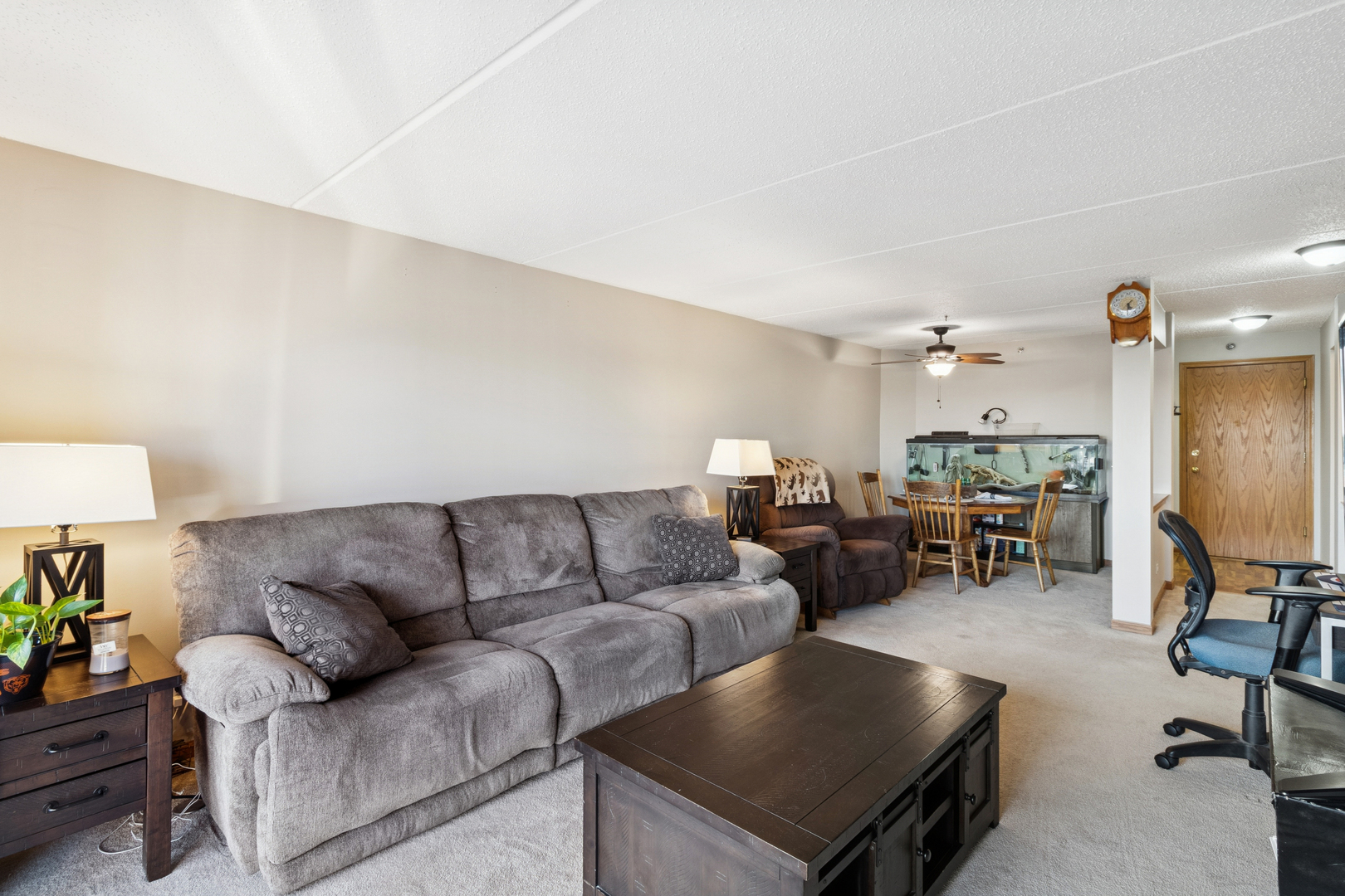 7450 North Waukegan Road, Unit 404 Niles, IL 60714 - Photo 11 of 21 a living room with furniture and a couch