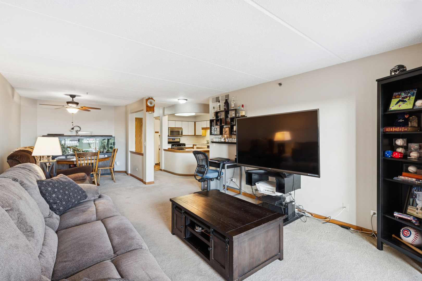 7450 North Waukegan Road, Unit 404 Niles, IL 60714 - Photo 12 of 21 a living room with furniture and a flat screen tv