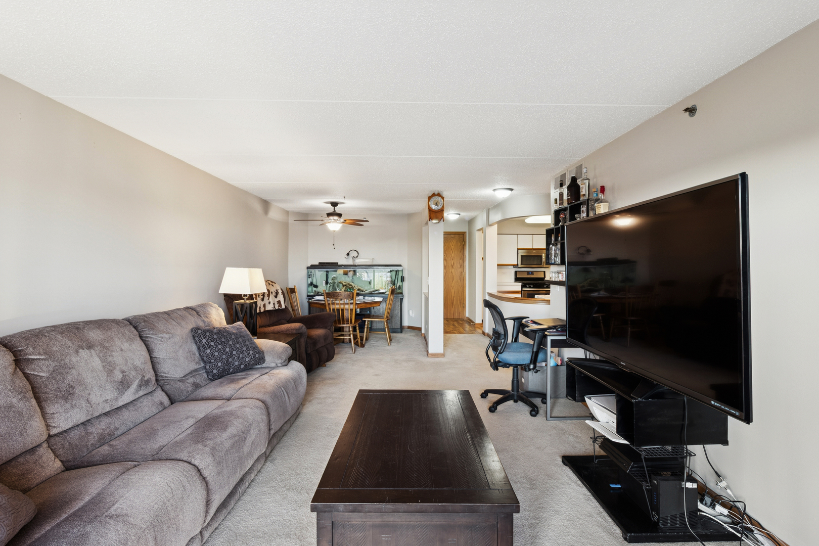 7450 North Waukegan Road, Unit 404 Niles, IL 60714 - Photo 13 of 21 a living room with furniture and a flat screen tv