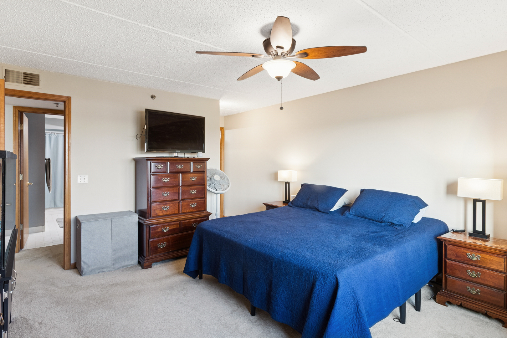 7450 North Waukegan Road, Unit 404 Niles, IL 60714 - Photo 3 of 21 a bedroom with a bed and a flat screen tv