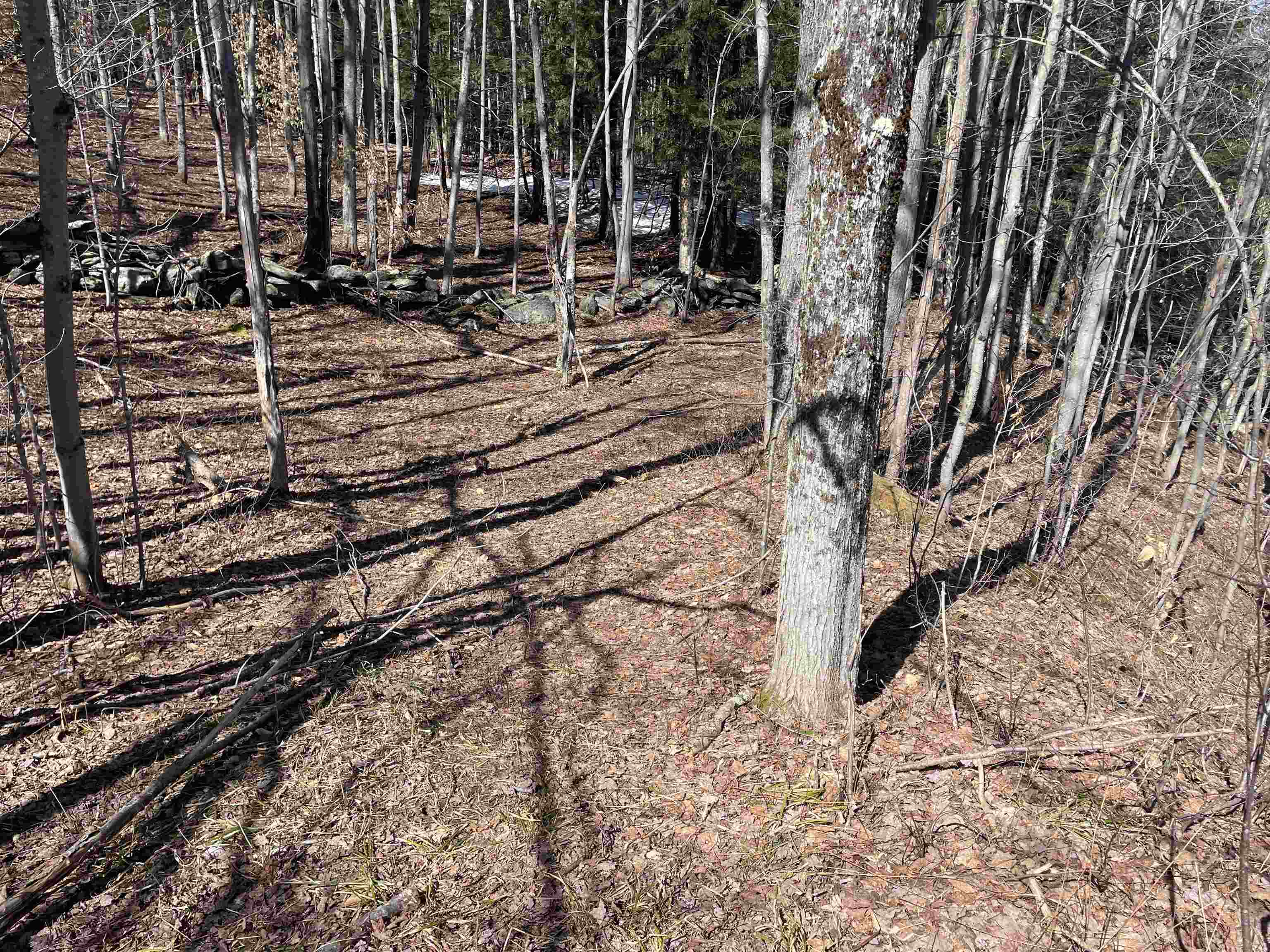 27 Ray Hill Road Wilmington, VT 05363 - Photo 42 of 48