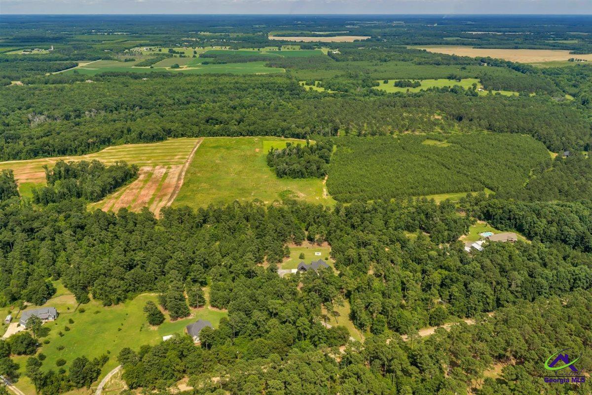 111 Brown Hill Road Elko, GA 31025 - Photo 65 of 74
