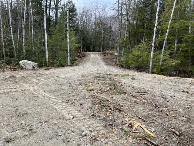 Tbd Juniper Circle Rome, ME 04963 - Photo 3 of 3 IMG_2710