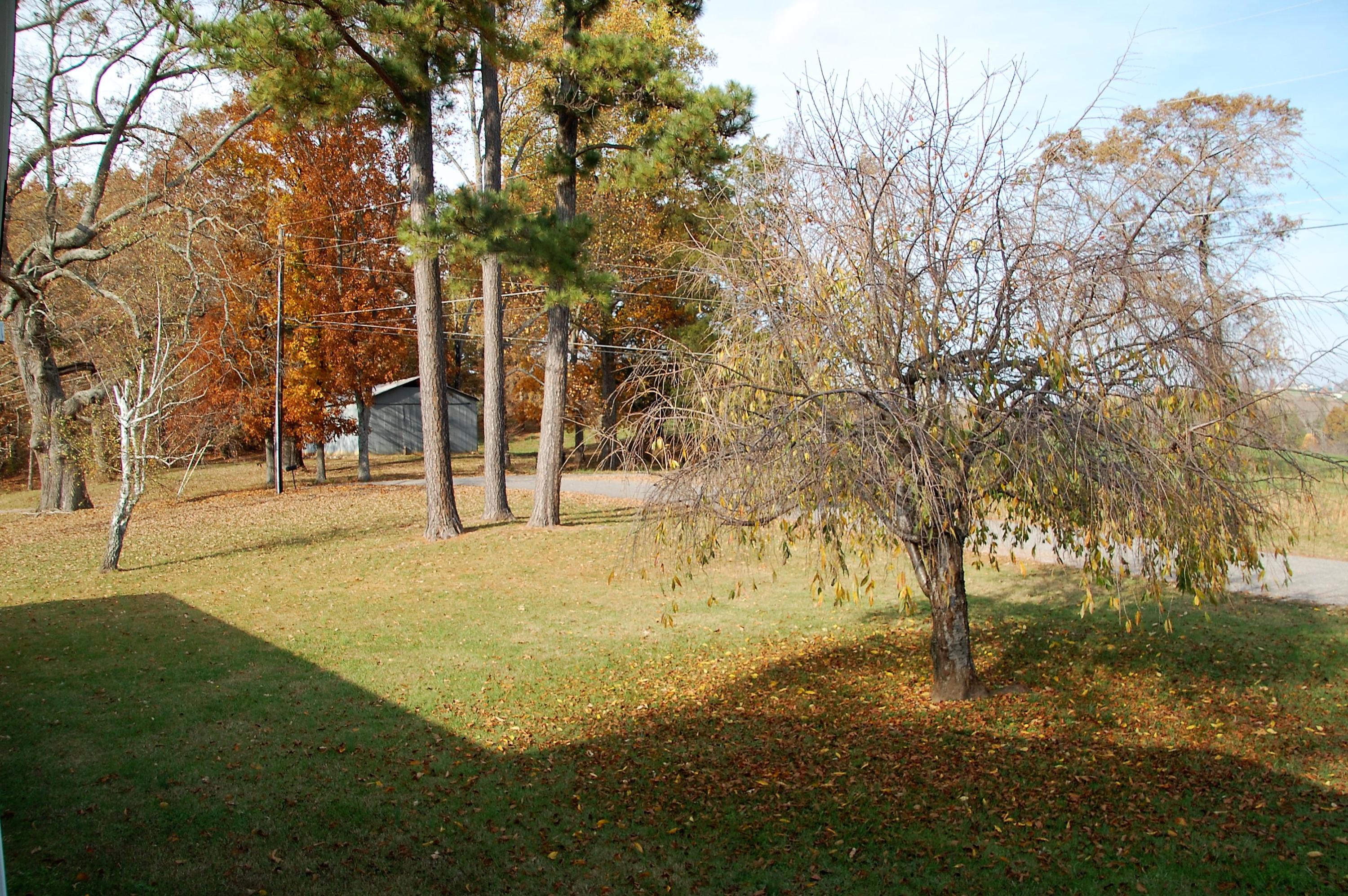 116 Pine Crest Drive Rutledge, TN 37861 - Photo 12 of 29 DSC_0927