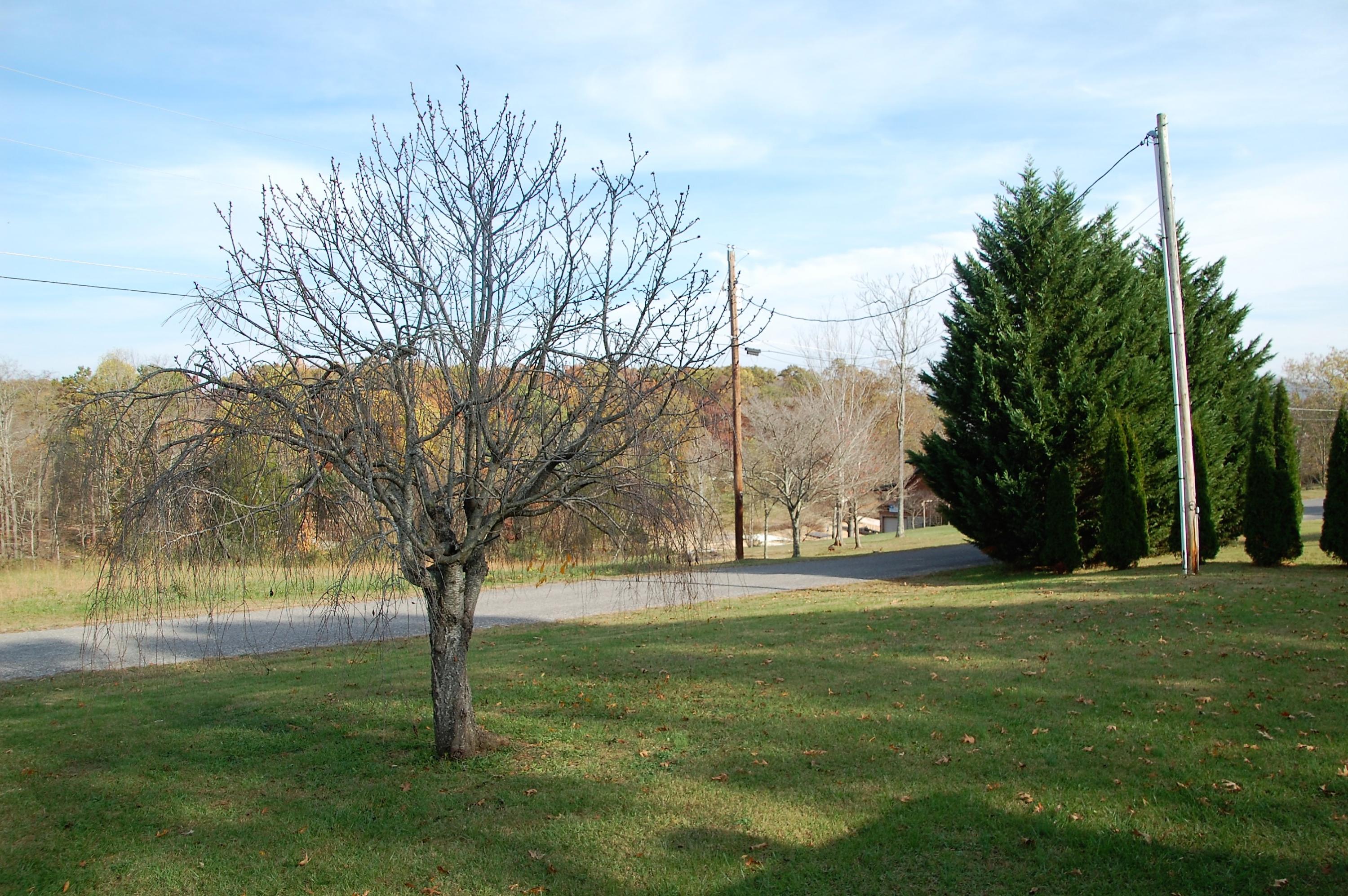 116 Pine Crest Drive Rutledge, TN 37861 - Photo 13 of 29 DSC_0928
