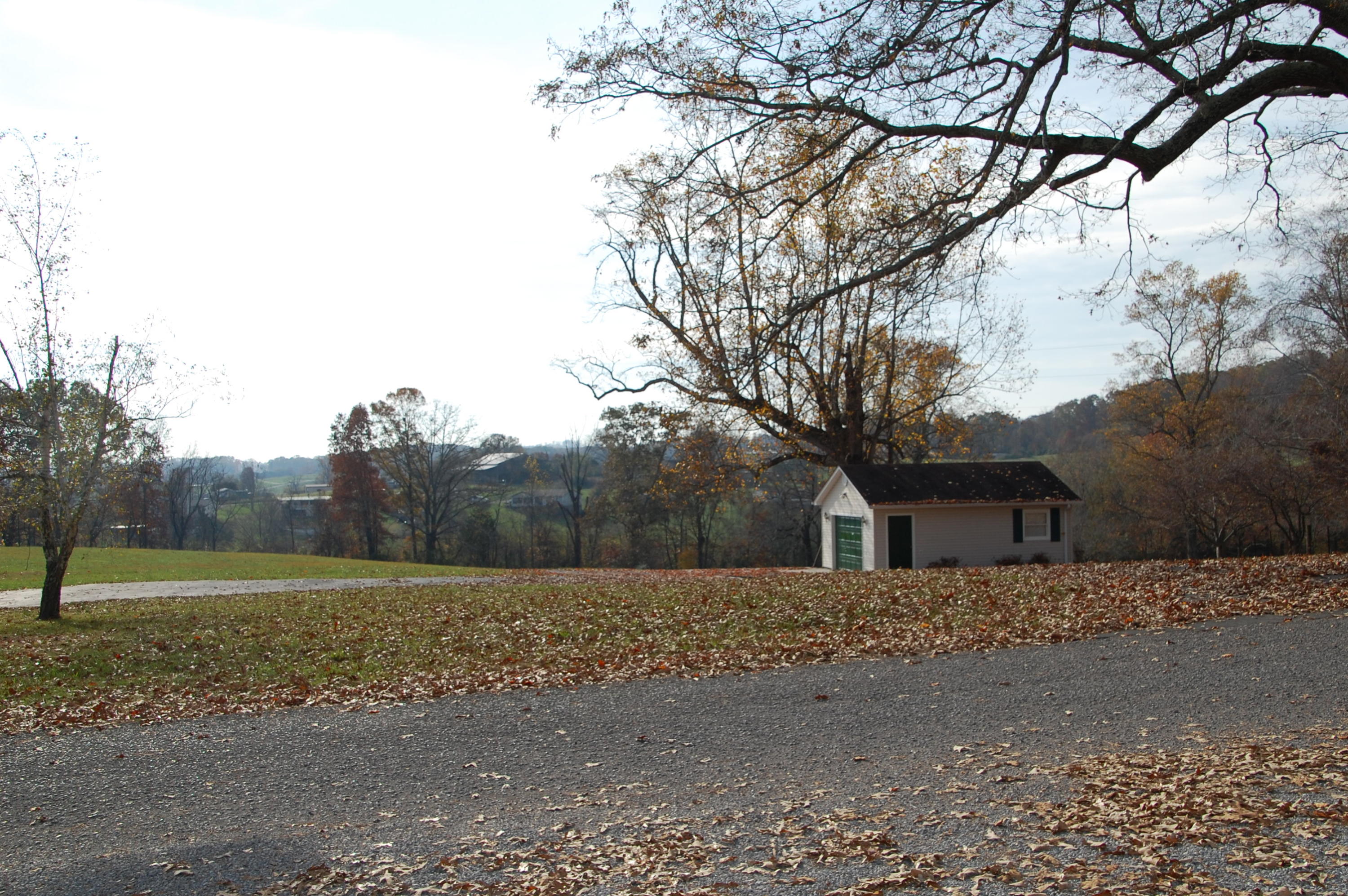 116 Pine Crest Drive Rutledge, TN 37861 - Photo 6 of 29 DSC_0912