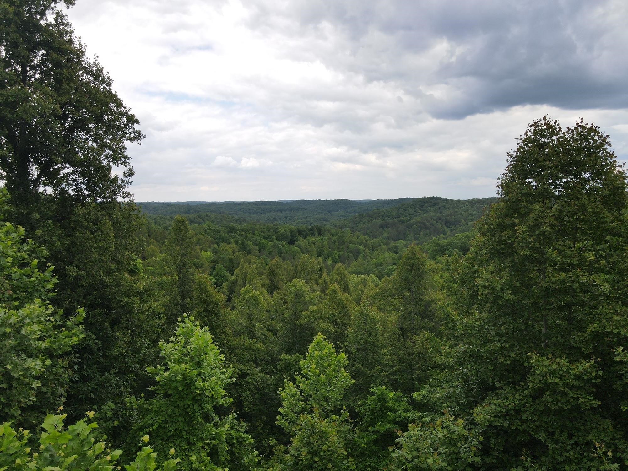 1702 Rattlesnake Ridge Road Grayson, KY 41143 - Photo 14 of 31 Gallery Image 14