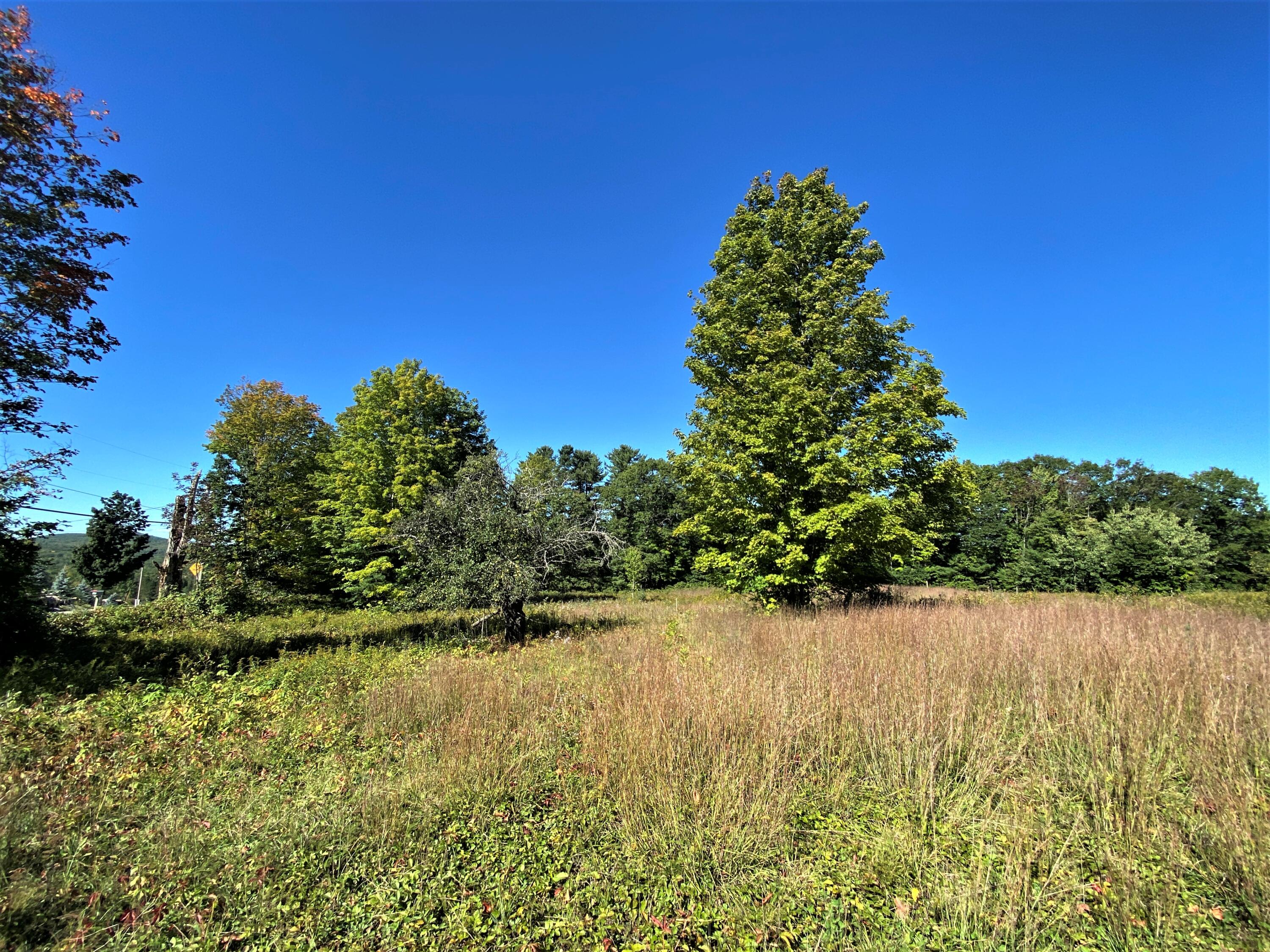 Lot 12 Libby Road West Newfield, ME 04095 - Photo 18 of 18 IMG_115970