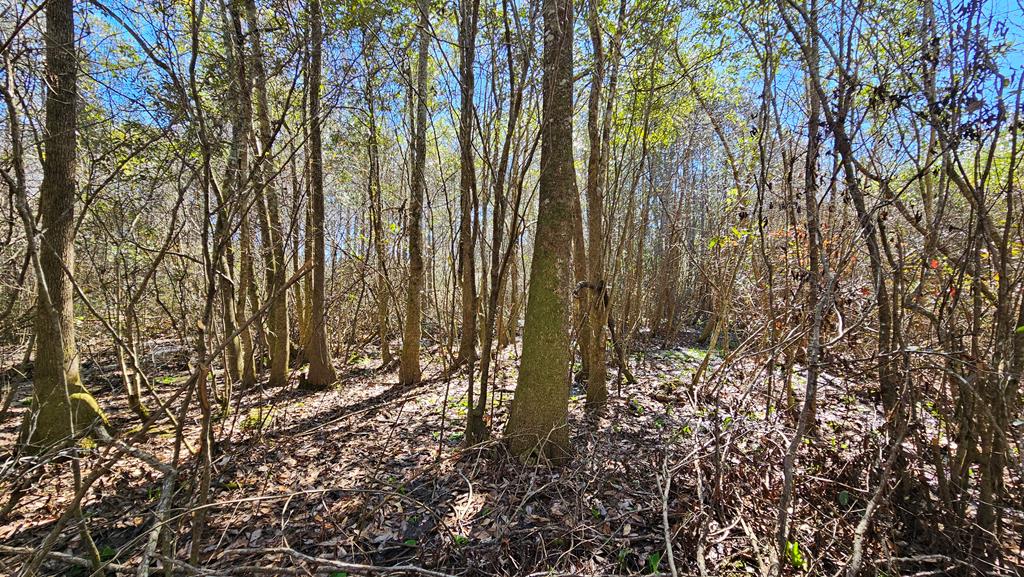 1964 County Line Road Dothan, AL 36305 - Photo 86 of 92