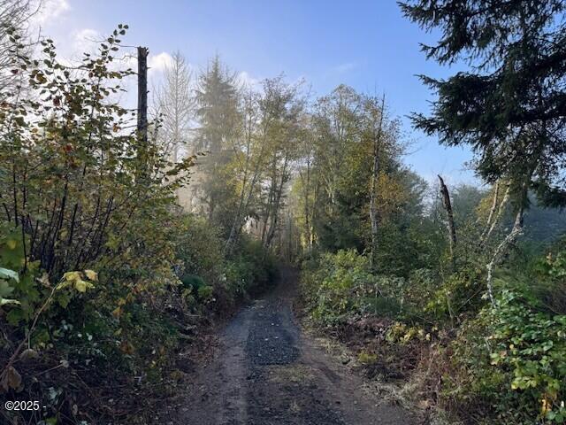 200 North Echo Mountain Road Otis, OR 97368 - Photo 9 of 19 Easement Access