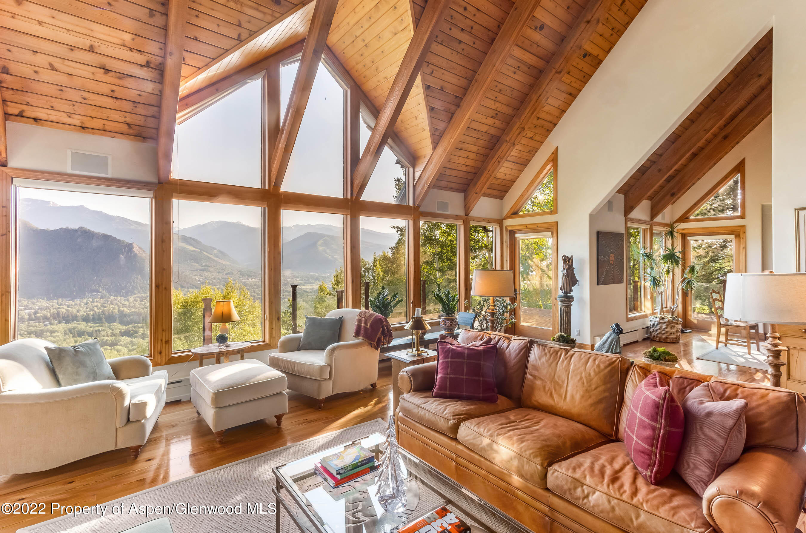346 East Reds Road Aspen, CO 81612 - Photo 17 of 41 a living room with furniture city view and large windows