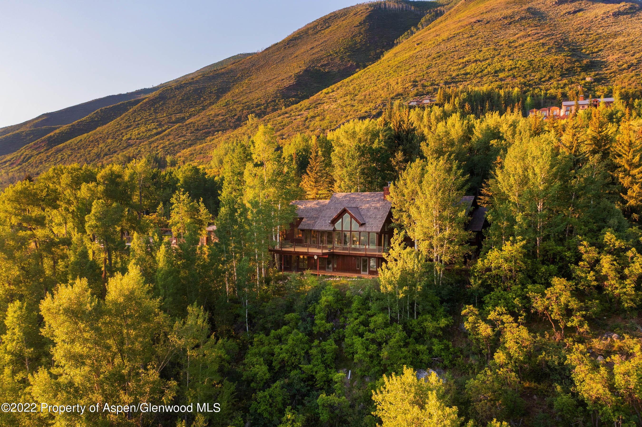 346 East Reds Road Aspen, CO 81612 - Photo 23 of 41 a backyard of a house with large trees