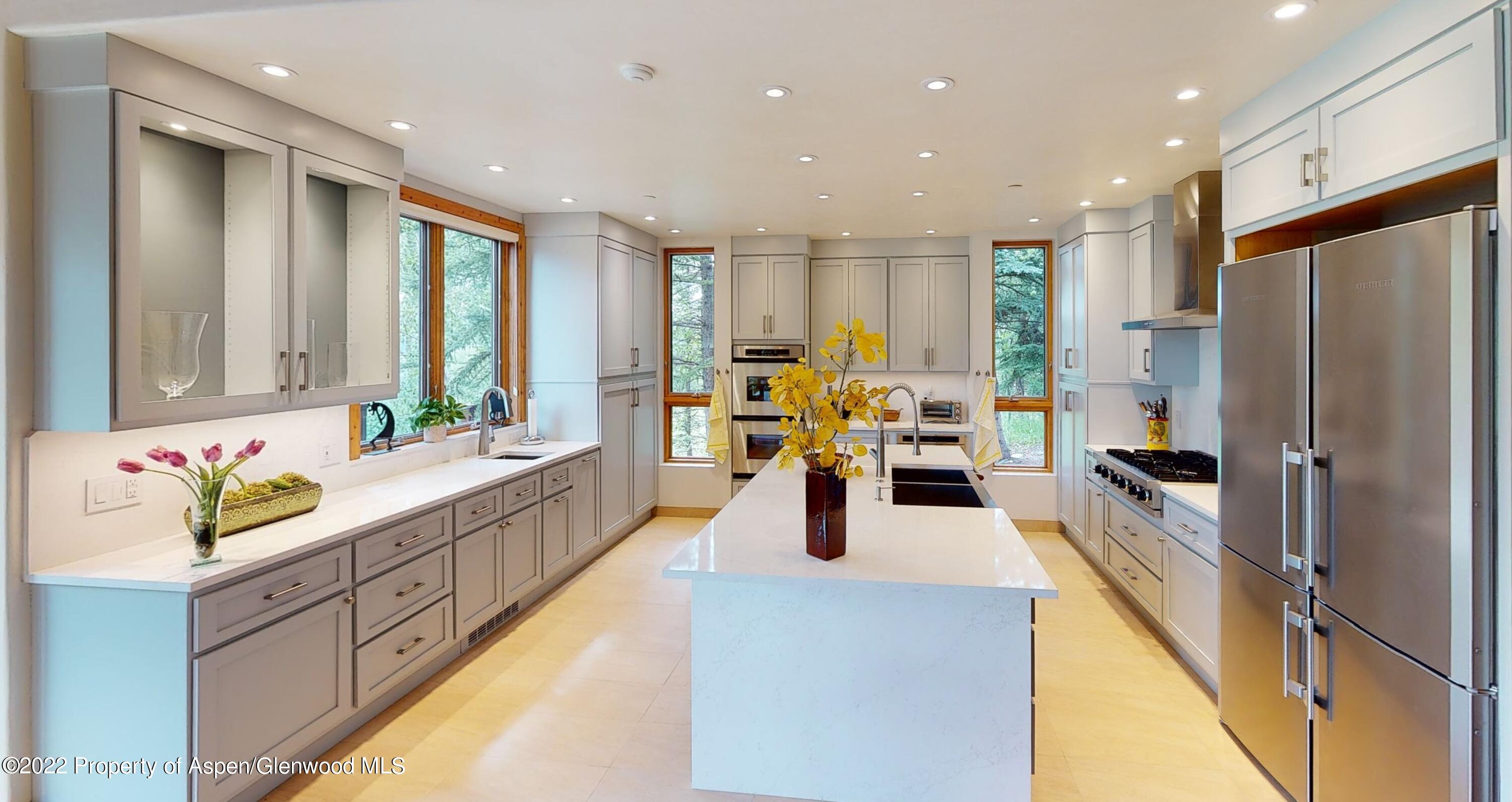 346 East Reds Road Aspen, CO 81612 - Photo 25 of 41 a large kitchen with stainless steel appliances lots of counter top space