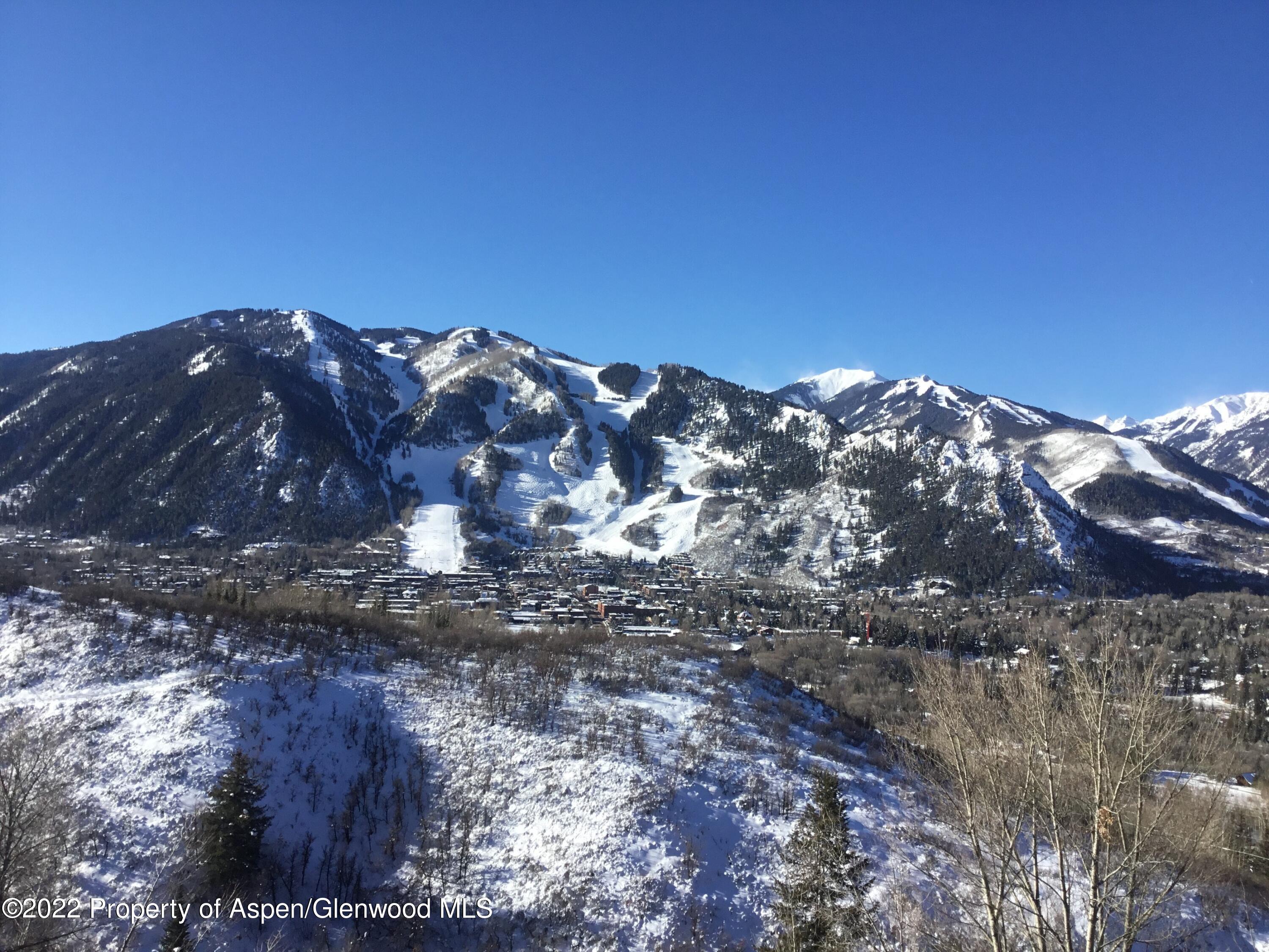346 East Reds Road Aspen, CO 81612 - Photo 38 of 41 a view of a large tree