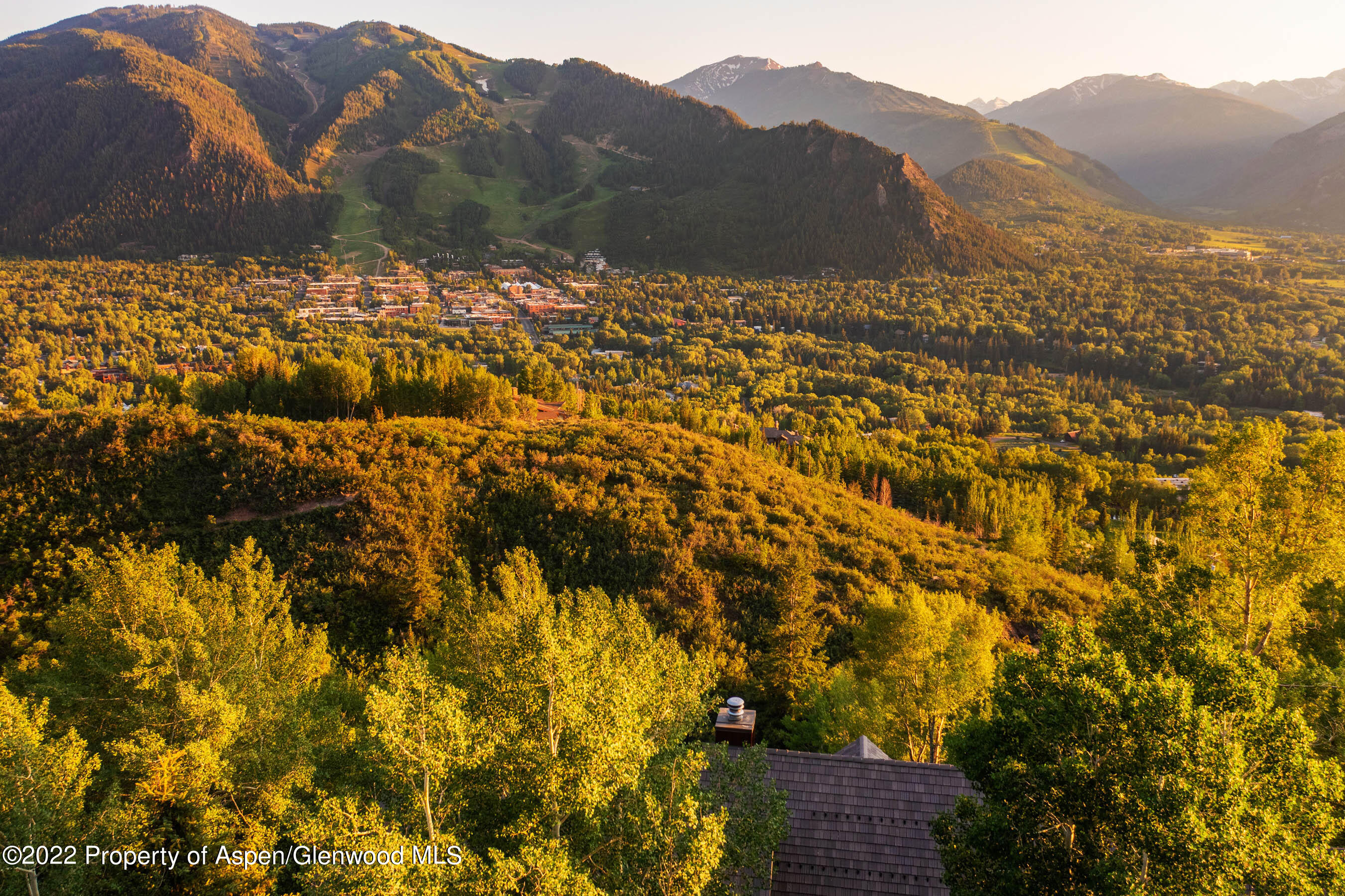 346 East Reds Road Aspen, CO 81612 - Photo 4 of 41 a view of a yard with a mountain