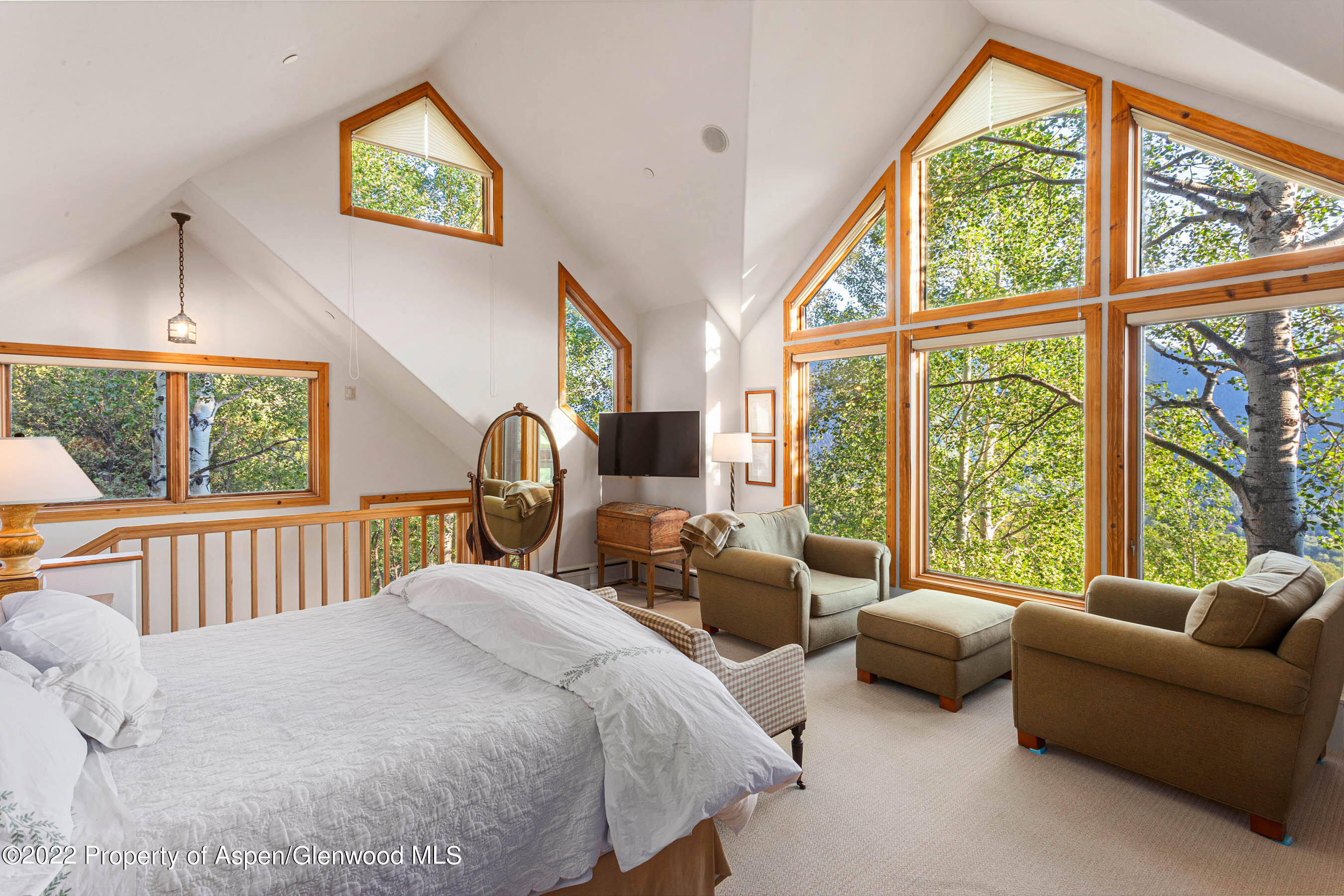 346 East Reds Road Aspen, CO 81612 - Photo 7 of 41 a bedroom with bed couch and a large window with outer view