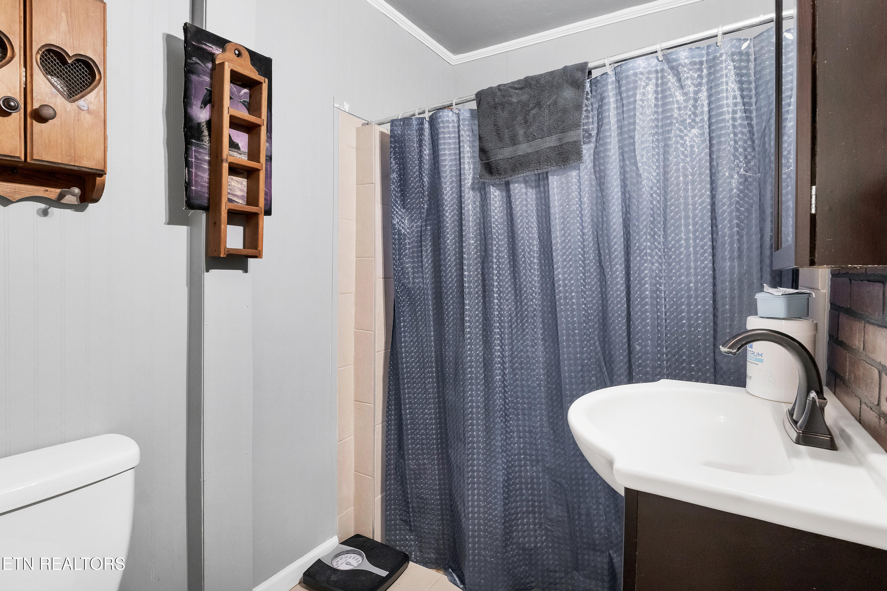115 Old Athens Road Madisonville, TN 37354 - Photo 16 of 27 Hall bathroom
