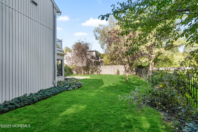 a view of a yard with plants and a large tree