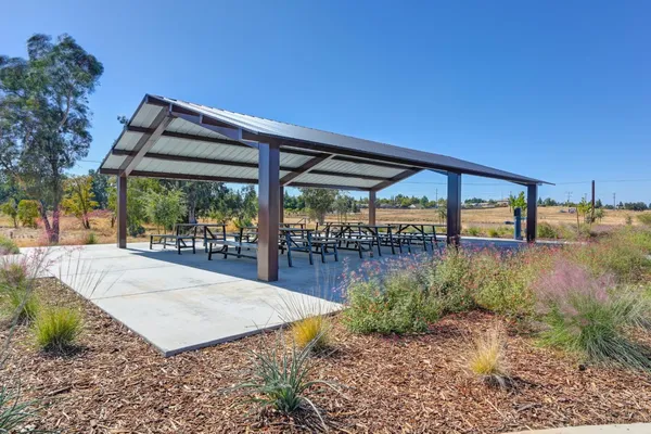 a view of backyard with large tree and wooden fence