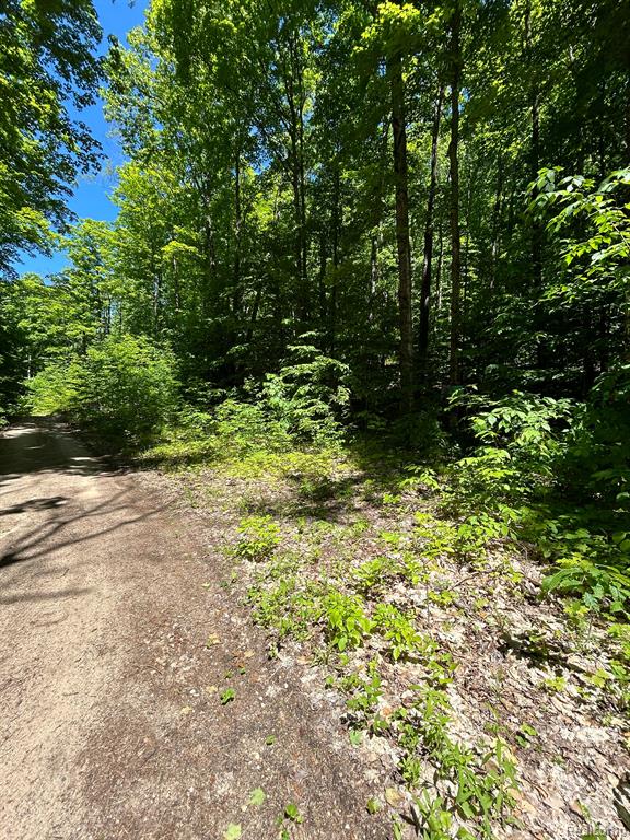 Vl Smith Lake Road Mancelona, MI 49659 - Photo 7 of 9