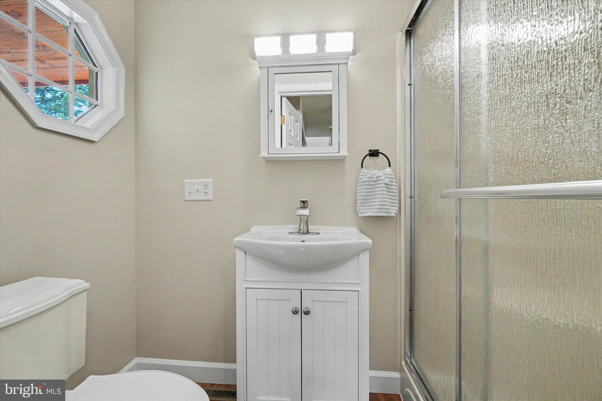 4941 Walters Hatchery Road Spring Grove, PA 17362 - Photo 52 of 71 a bathroom with a sink a toilet and mirror