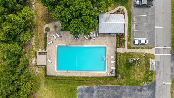 swimming pool view with a garden and plants