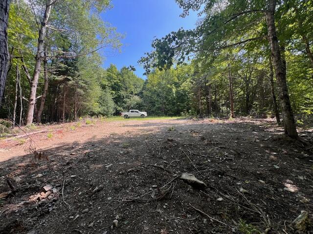 Lot 29.3 Cone Road Amity, ME 04471 - Photo 5 of 20 IMG_6275