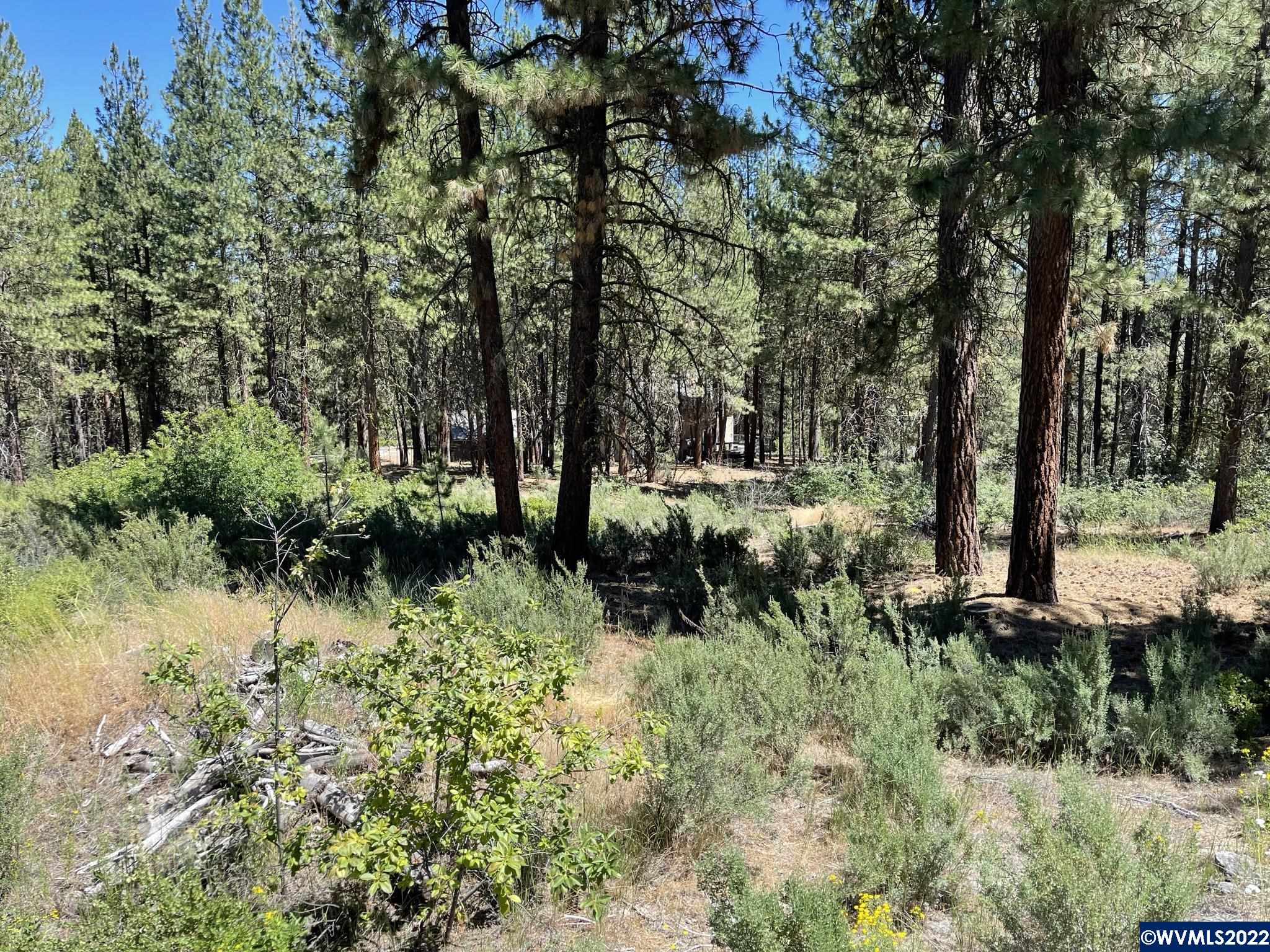 Lot 8 South Waterview Way Chiloquin, OR 97624 - Photo 2 of 10