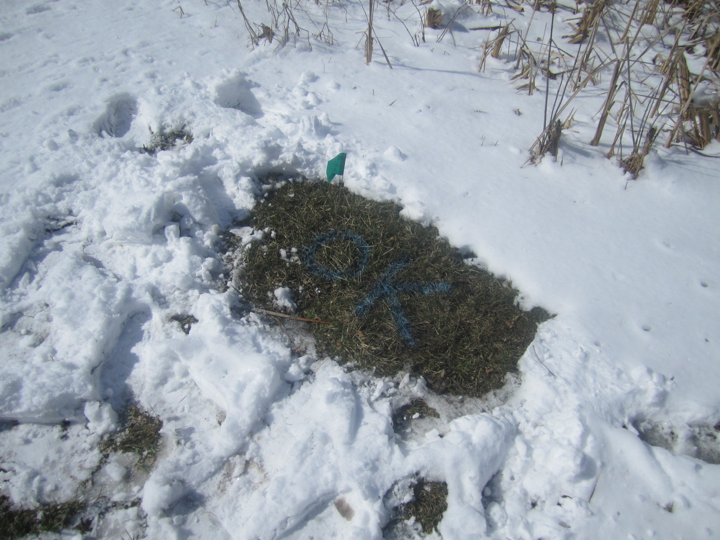 27-w0s Roosevelt Road Wheaton, IL 60189 - Photo 5 of 6 a view of a dry field with trees in the background