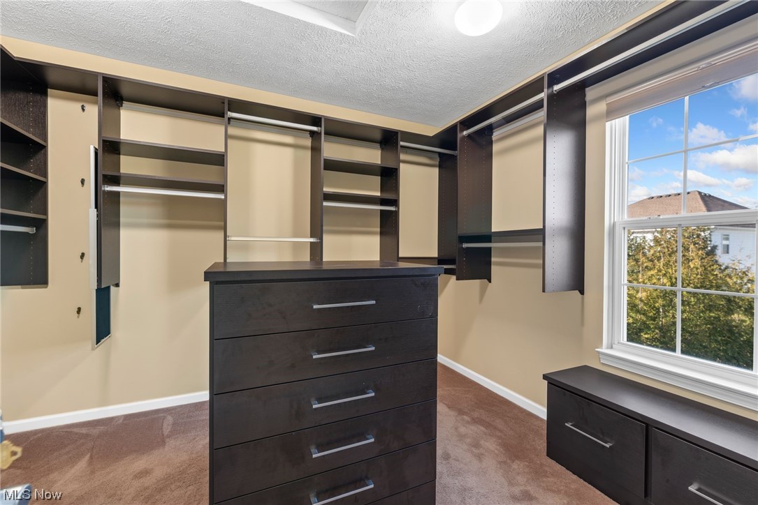 172 Skye Road Cleveland, OH 44143 - Photo 11 of 19 Gallery Image 11