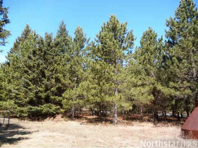631 Centerline Road Southwest Solway, MN 56678 - Photo 17 of 18 Gallery Image 17