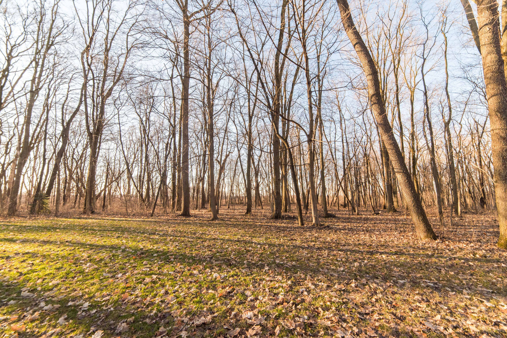 420 Mt Hunger Road Sycamore, IL 60178 - Photo 35 of 43