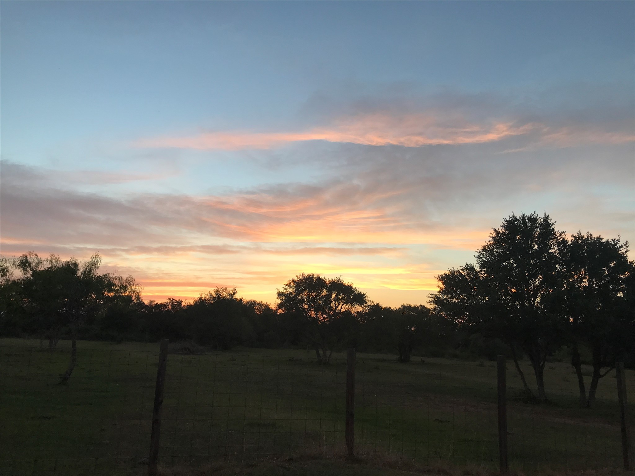 Tbd-a Garrett Road Yoakum, TX 77995 - Photo 7 of 13 a view of a yard in front of the house
