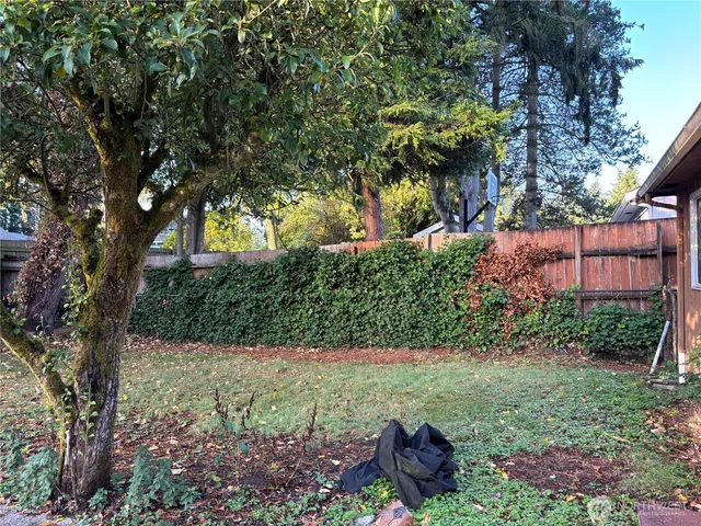 a view of a garden with a tree