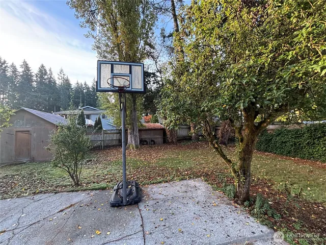 a view of a street with a tree