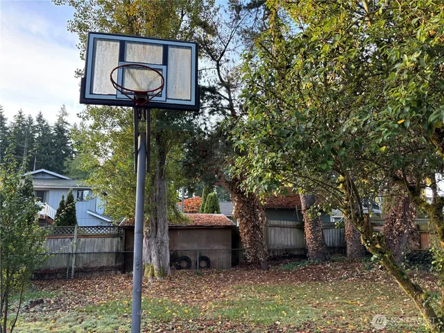 a view of a wooden bench under the tree