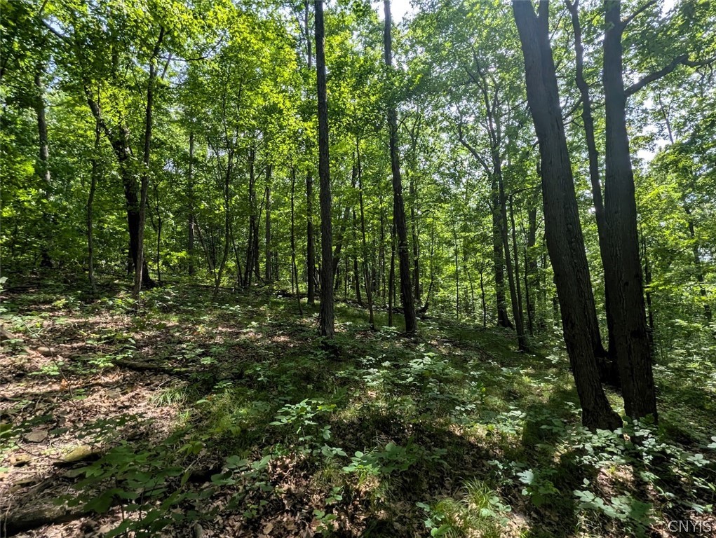 Keifer Hollow Road Dansville, NY 14437 - Photo 24 of 33
