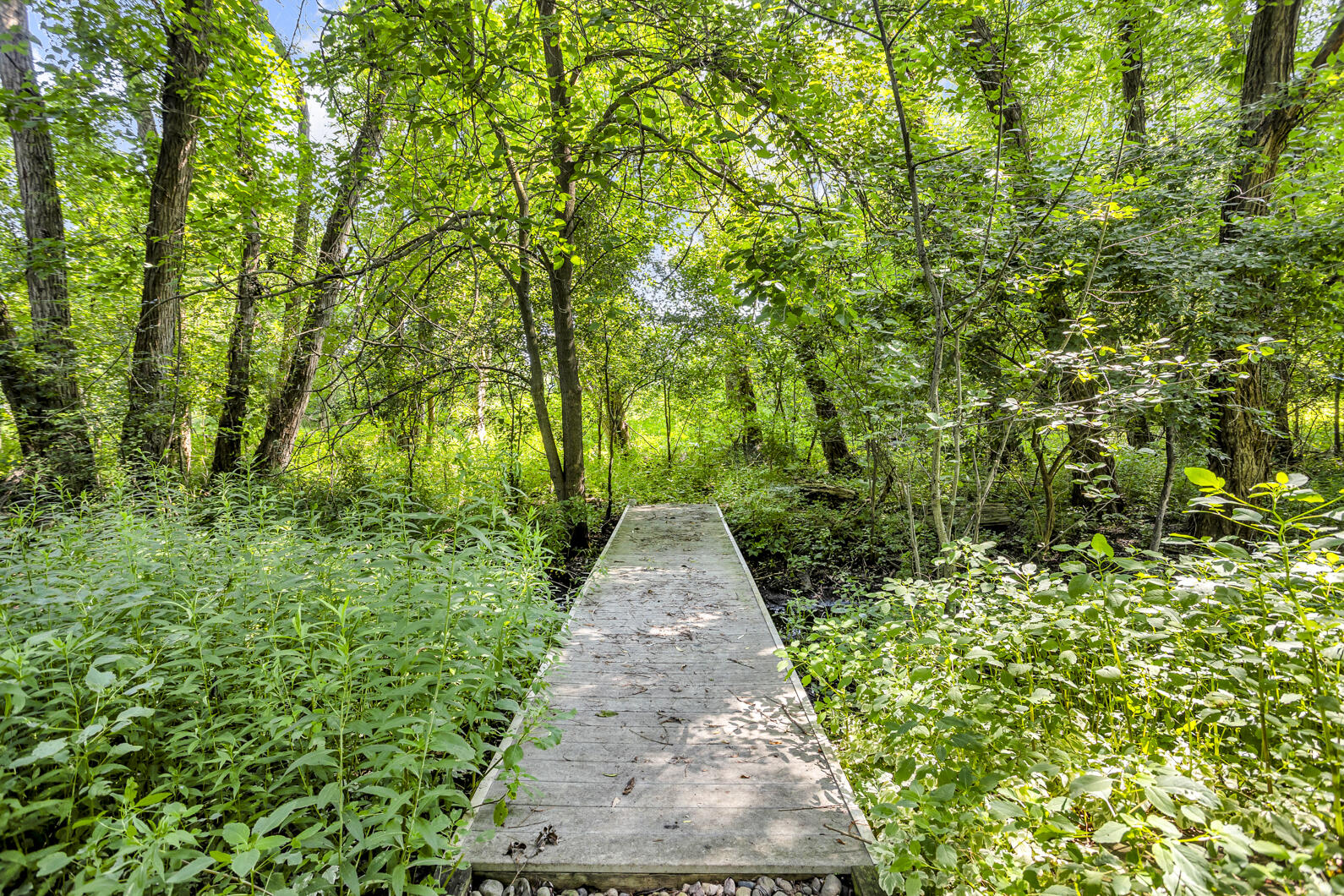 6800 Wheaton Road Jackson, MI 49201 - Photo 69 of 77 0N0A7571