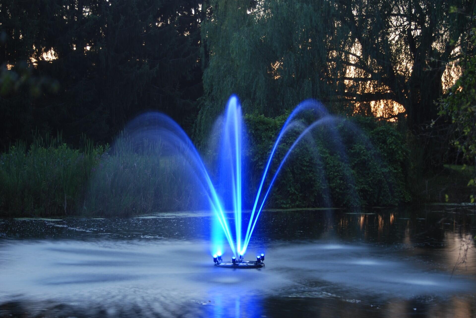 6800 Wheaton Road Jackson, MI 49201 - Photo 72 of 77 thumbnail_Blue Fountain