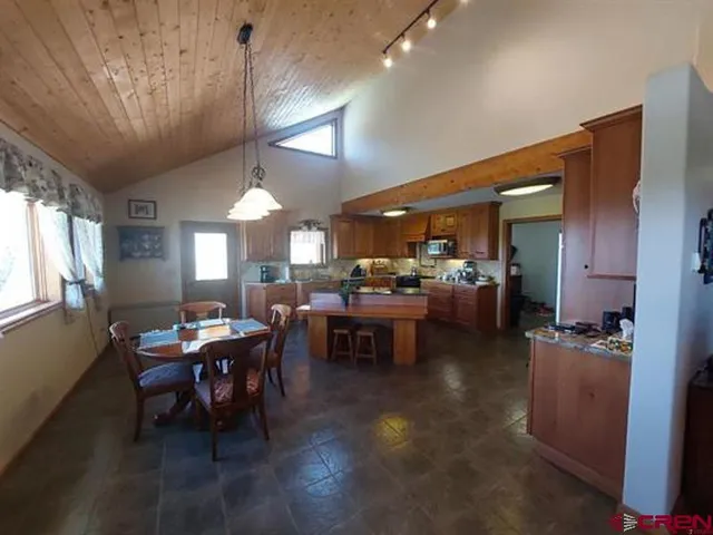 a kitchen with a dining table chairs and a potted plant